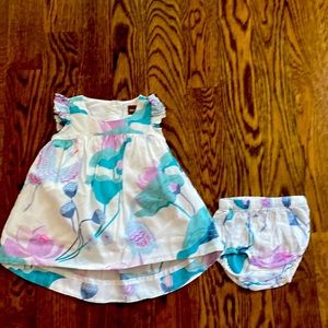Tea Collection 6-9 mth dress & bloomers excellent condition